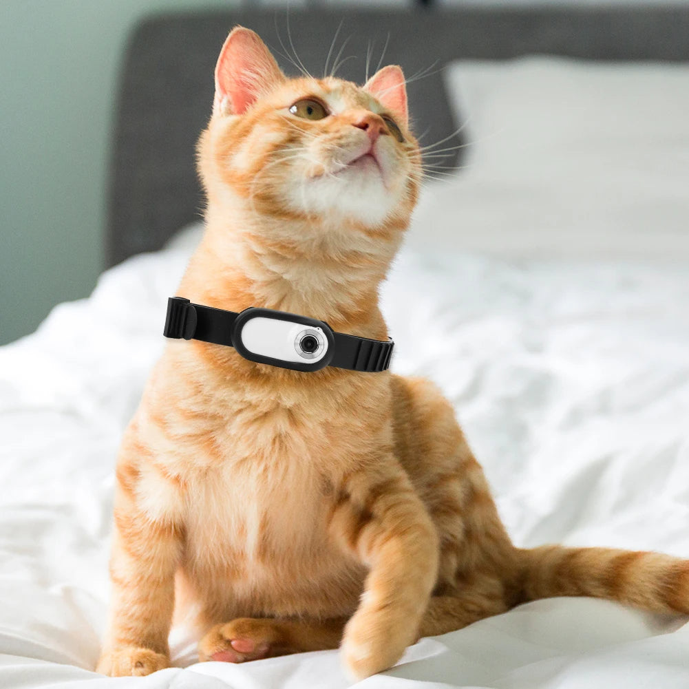 Camera Collar for Cats & Dogs — view 3
